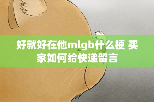 好就好在他mlgb什么梗 买家如何给快递留言
