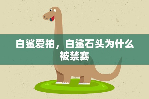 白鲨爱拍，白鲨石头为什么被禁赛