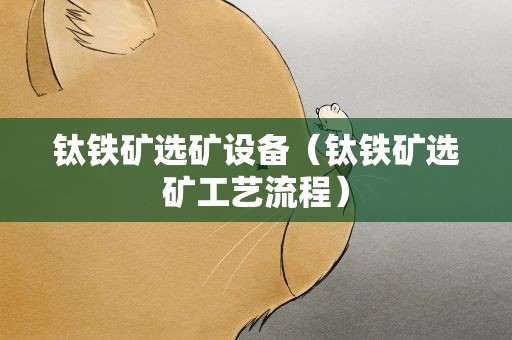 钛铁矿选矿设备（钛铁矿选矿工艺流程）