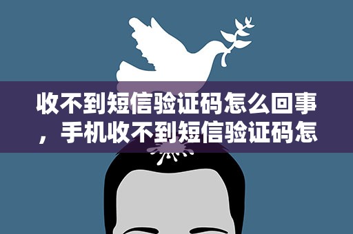 收不到短信验证码怎么回事，手机收不到短信验证码怎么回事