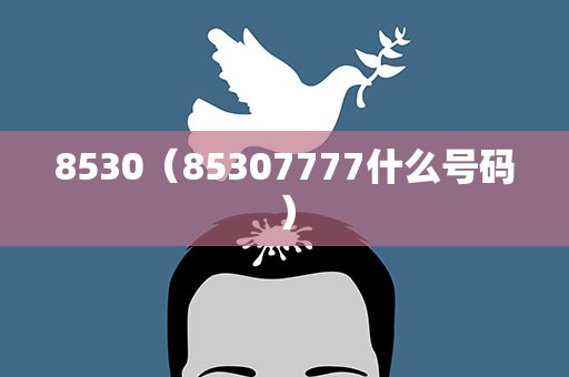 8530（85307777什么号码）