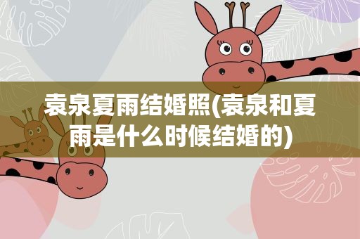 袁泉夏雨结婚照(袁泉和夏雨是什么时候结婚的)