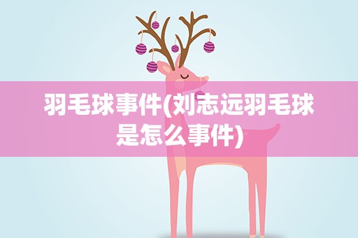 羽毛球事件(刘志远羽毛球是怎么事件)