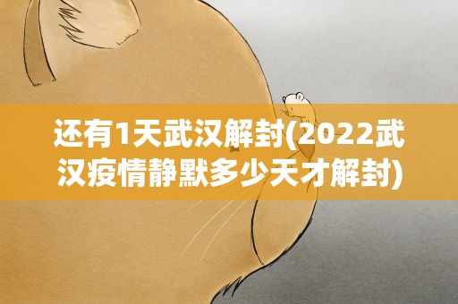 还有1天武汉解封(2022武汉疫情静默多少天才解封)