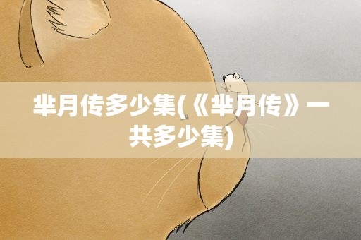 芈月传多少集(《芈月传》一共多少集)