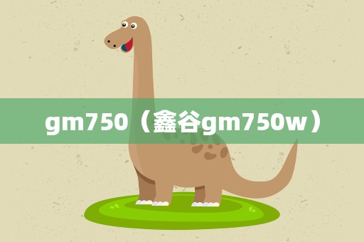 gm750（鑫谷gm750w）