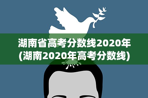 湖南省高考分数线2020年(湖南2020年高考分数线)