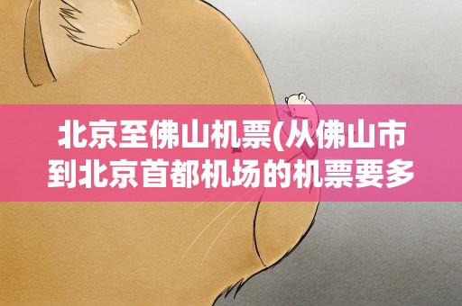 北京至佛山机票(从佛山市到北京首都机场的机票要多少钱)
