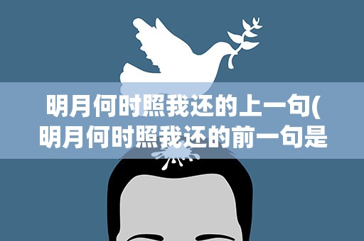 明月何时照我还的上一句(明月何时照我还的前一句是什么)