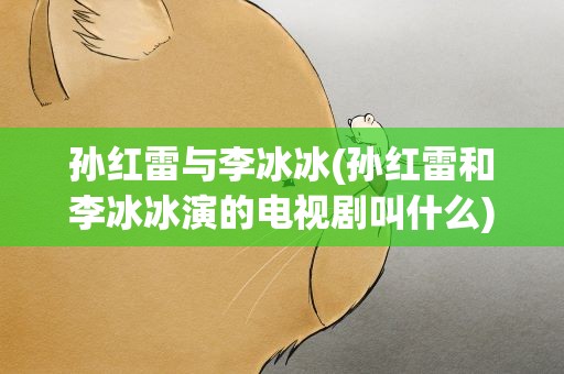 孙红雷与李冰冰(孙红雷和李冰冰演的电视剧叫什么)