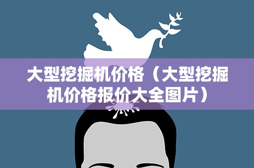 大型挖掘机价格（大型挖掘机价格报价大全图片）