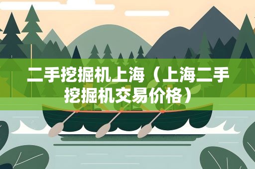 二手挖掘机上海（上海二手挖掘机交易价格）