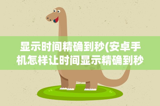 显示时间精确到秒(安卓手机怎样让时间显示精确到秒)