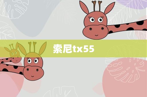 索尼tx55
