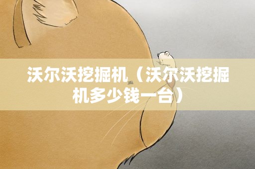 沃尔沃挖掘机（沃尔沃挖掘机多少钱一台）