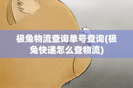 极兔物流查询单号查询(极兔快递怎么查物流)