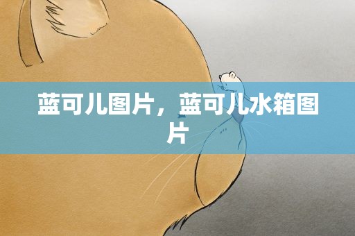 蓝可儿图片，蓝可儿水箱图片