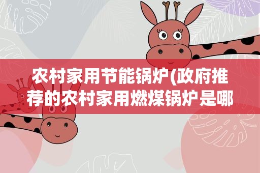 农村家用节能锅炉(政府推荐的农村家用燃煤锅炉是哪种)