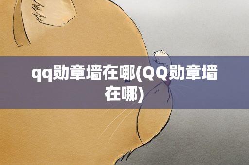 qq勋章墙在哪(QQ勋章墙在哪)
