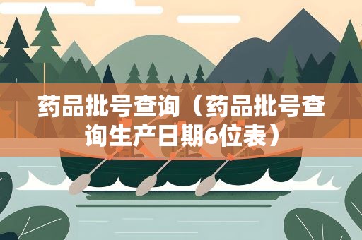 药品批号查询（药品批号查询生产日期6位表）