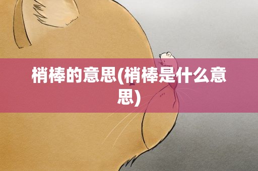 梢棒的意思(梢棒是什么意思)