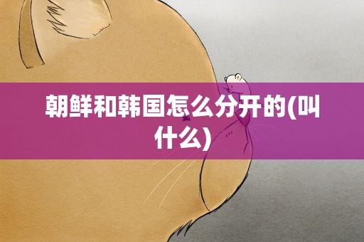 朝鲜和韩国怎么分开的(叫什么)