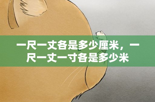 一尺一丈各是多少厘米，一尺一丈一寸各是多少米
