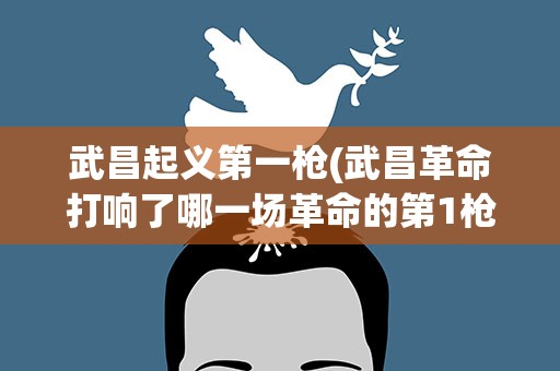 武昌起义第一枪(武昌革命打响了哪一场革命的第1枪)