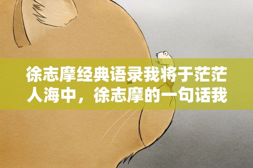 徐志摩经典语录我将于茫茫人海中，徐志摩的一句话我将于茫茫人海中