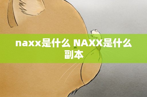 naxx是什么 NAXX是什么副本