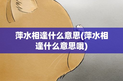 萍水相逢什么意思(萍水相逢什么意思哦)