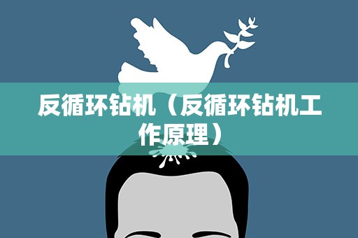 反循环钻机（反循环钻机工作原理）