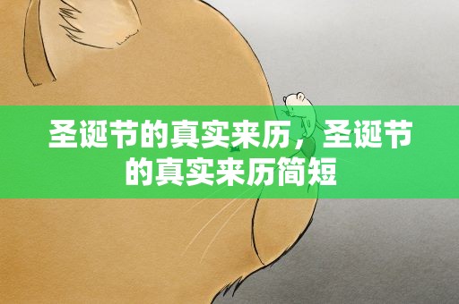 圣诞节的真实来历，圣诞节的真实来历简短