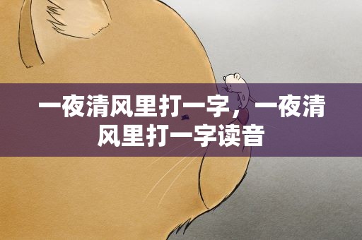 一夜清风里打一字，一夜清风里打一字读音