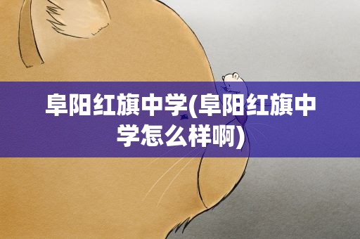 阜阳红旗中学(阜阳红旗中学怎么样啊)