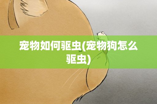 宠物如何驱虫(宠物狗怎么驱虫)