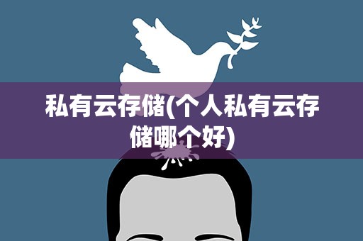 私有云存储(个人私有云存储哪个好)