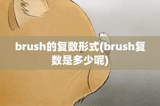 brush的复数形式(brush复数是多少呢)