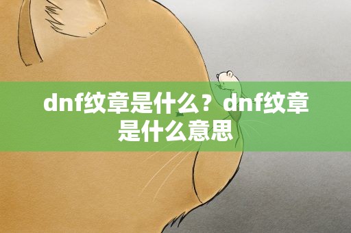dnf纹章是什么？dnf纹章是什么意思