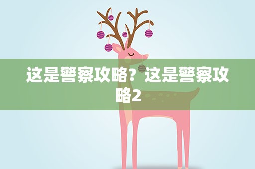 这是警察攻略？这是警察攻略2