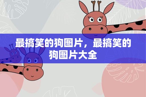最搞笑的狗图片，最搞笑的狗图片大全