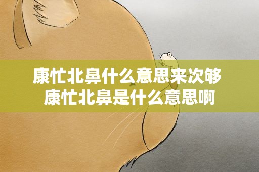 康忙北鼻什么意思来次够 康忙北鼻是什么意思啊