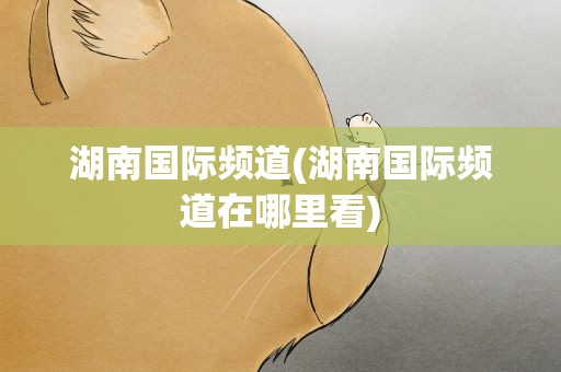 湖南国际频道(湖南国际频道在哪里看)