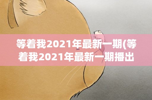 等着我2021年最新一期(等着我2021年最新一期播出时间)