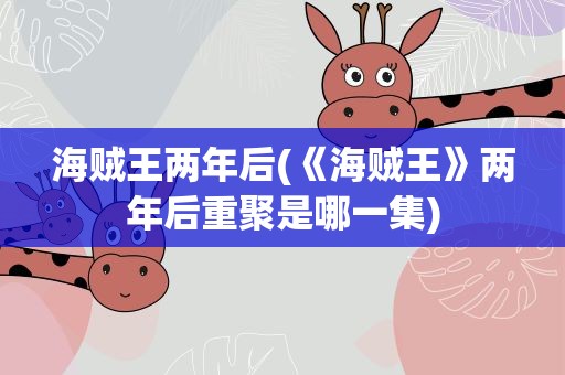 海贼王两年后(《海贼王》两年后重聚是哪一集)