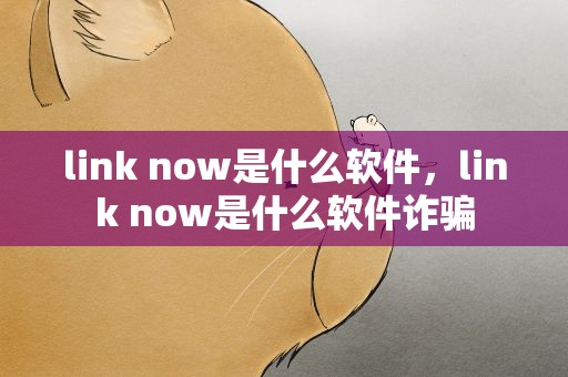 link now是什么软件，link now是什么软件诈骗