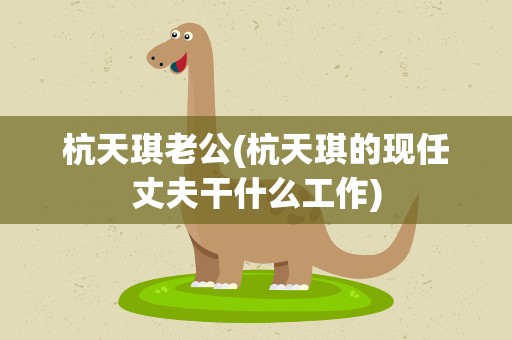 杭天琪老公(杭天琪的现任丈夫干什么工作)