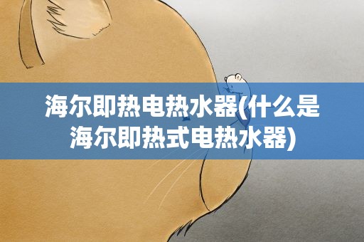 海尔即热电热水器(什么是海尔即热式电热水器)