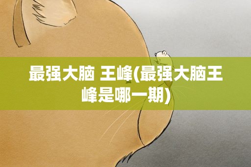 最强大脑 王峰(最强大脑王峰是哪一期)