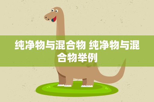 纯净物与混合物 纯净物与混合物举例